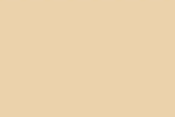 Light Ivory Paint