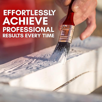 Professional Paint  Brushes (5 Pack)